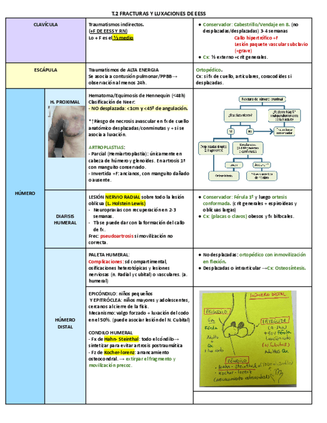 Miniatura del documento T.2-FRACTURAS-Y-LUXACIONES-DE-EESS.pdf