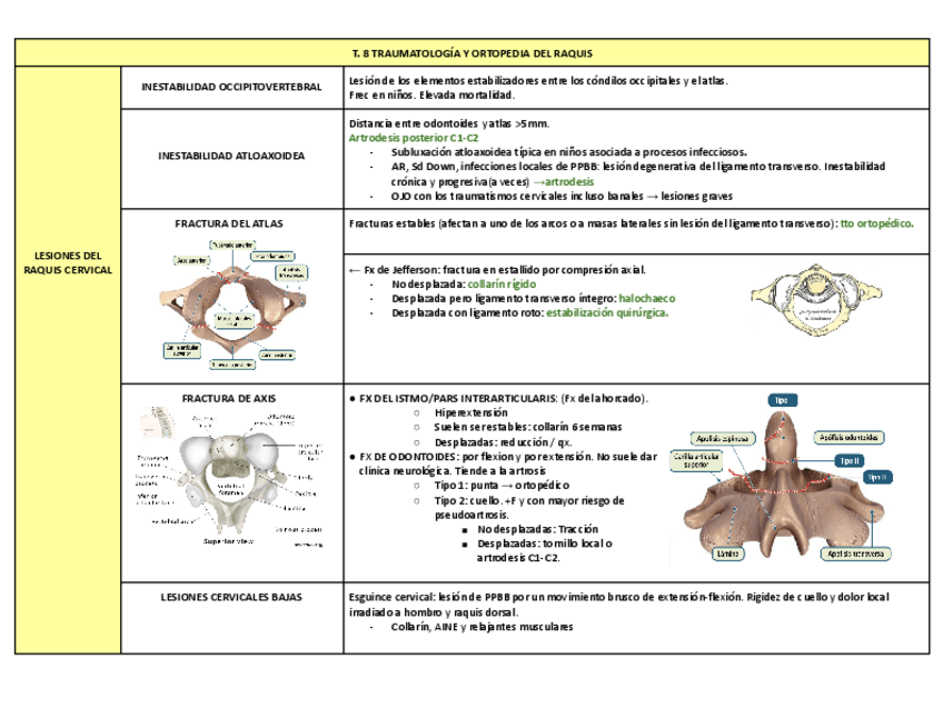 Miniatura del documento T.-8-TRAUMATOLOGIA-Y-ORTOPEDIA-DEL-RAQUIS.pdf