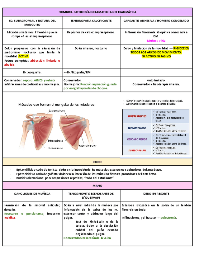 Miniatura del documento T.-6.2-PATOLOGIA-INFLAMATORIA-NO-TRAUMATICA.pdf