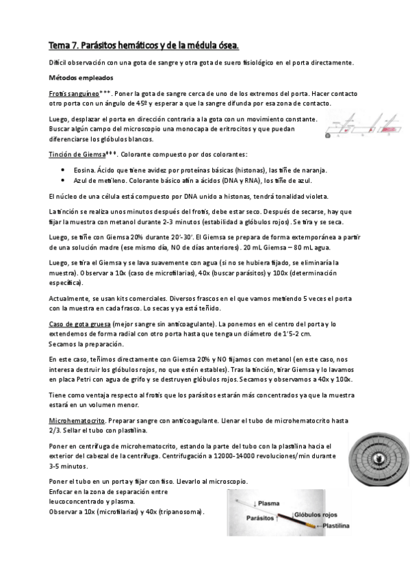 Miniatura del documento Tema-7-Parasitos-hematicos-y-medula-osea.pdf