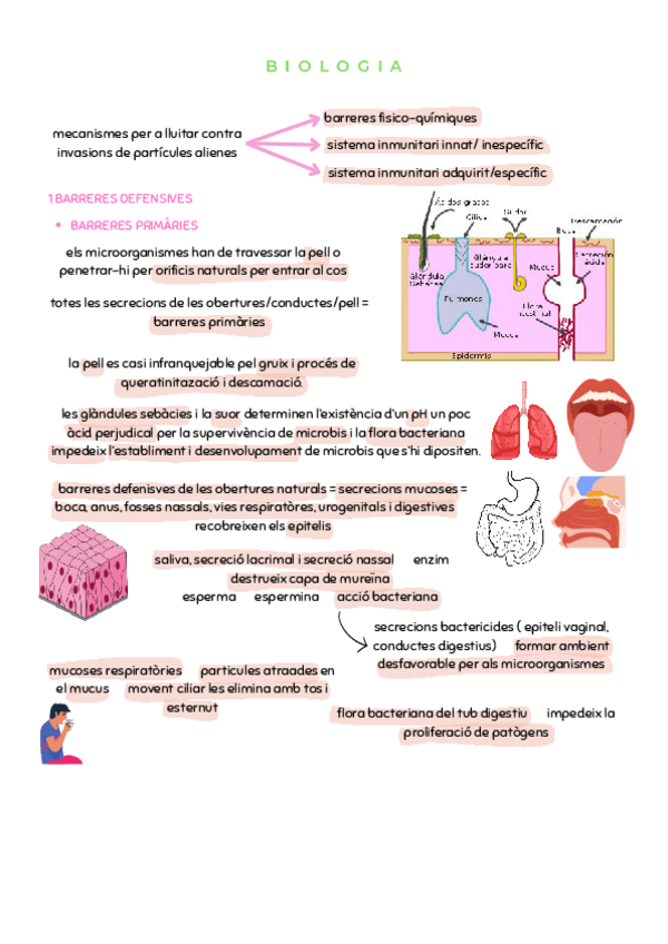 Miniatura del documento biologia.pdf