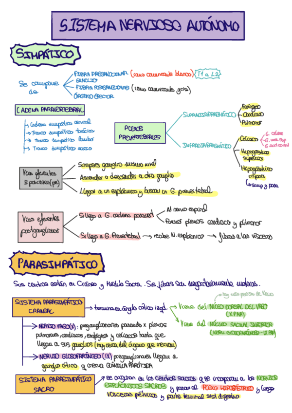 Miniatura del documento INERVACION-COMPLETA-TRONCO.pdf