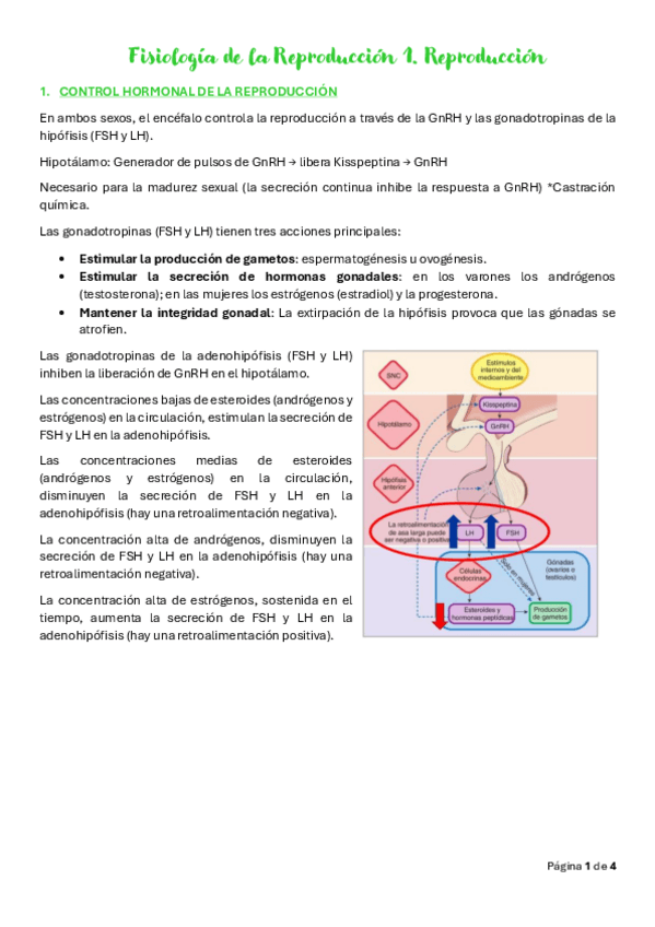 Miniatura del documento Tema-20.-Fisiologia-de-la-Reproduccion-1.pdf