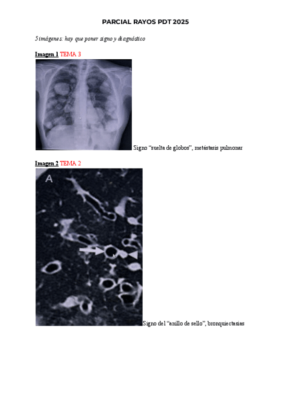 Miniatura del documento PARCIAL-PDT-RAYOS-2025.pdf