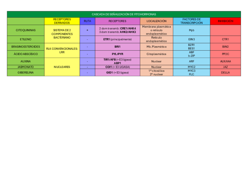 Miniatura del documento TABLA-RESUMEN-T.11.pdf