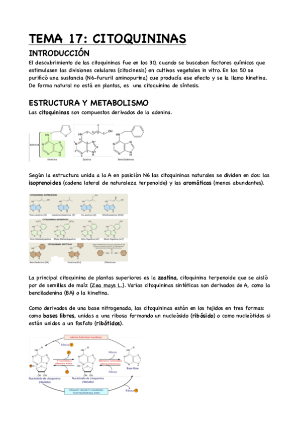Miniatura del documento TEMA-17-CITOQUININAS.pdf