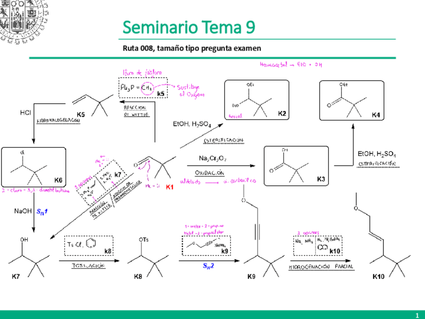 Miniatura del documento Tema-9-Seminario.pdf