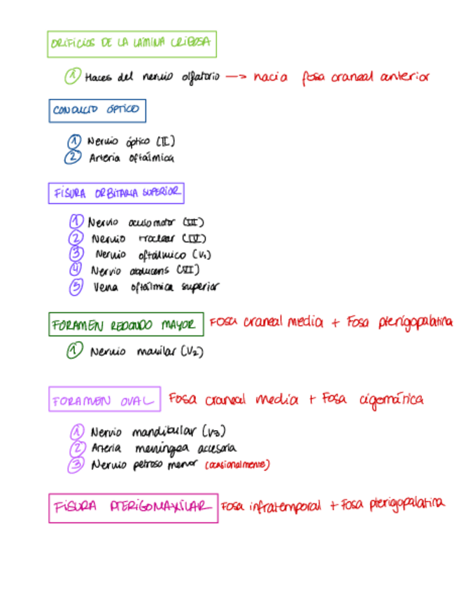 Miniatura del documento Foramenes.pdf