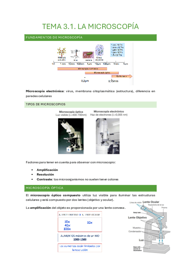 Miniatura del documento Tema-3.1.-Tecnicas-de-observacion.pdf