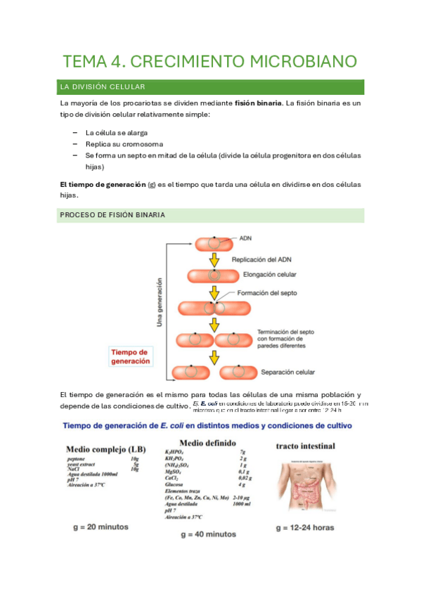 Miniatura del documento Tema-4.-Crecimiento-Microbiano.pdf