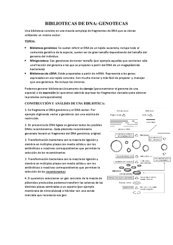 Miniatura del documento TEMA-7.pdf