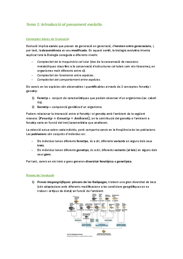 Miniatura del documento Resum-1r-Parcial-Evolucio-T1-T10.pdf