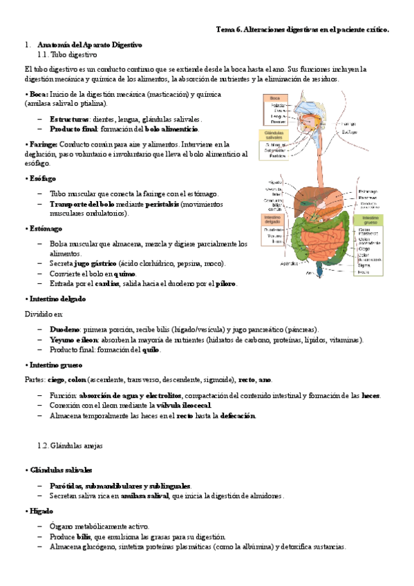 Miniatura del documento 14.-Tema-6.-Alteraciones-digestivas-en-el-paciente-critico.pdf