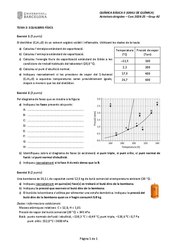 Miniatura del documento T3Activitatsdirigides2024-25.pdf