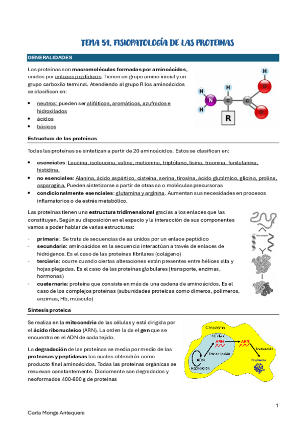 Miniatura del documento TEMA-51-fisiopatologia-de-las-proteinas.pdf