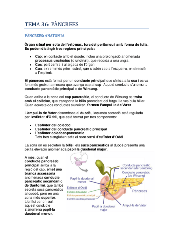 Miniatura del documento Fisiologia-II-Tema-36.pdf