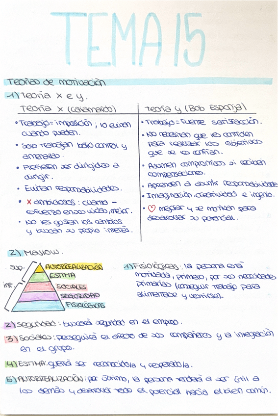 Miniatura del documento Tema-15-la-direccion-de-recursos-humanos.pdf
