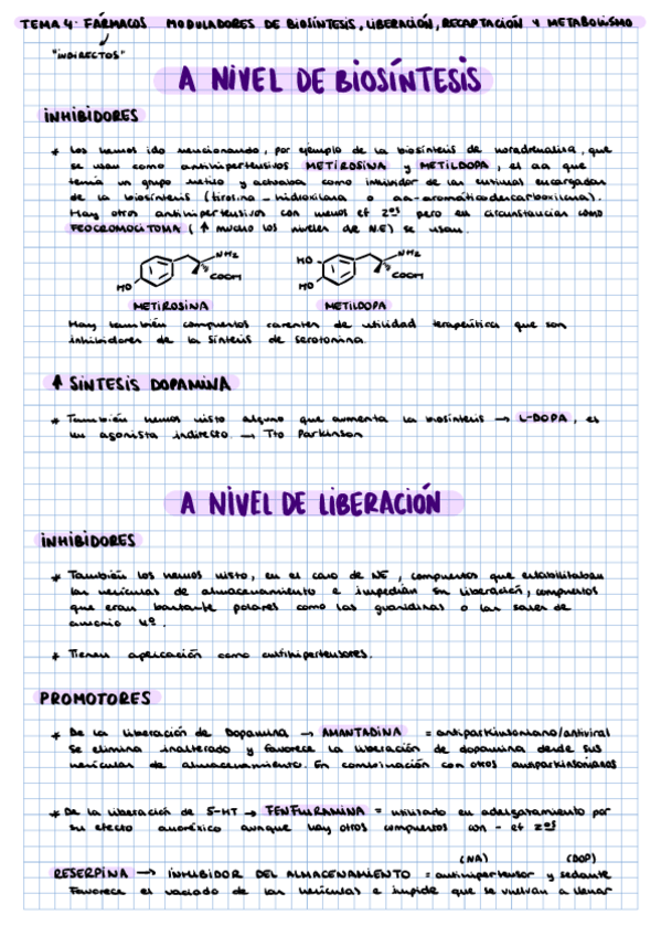 Miniatura del documento T4-APUNTES-PROPIOS.pdf