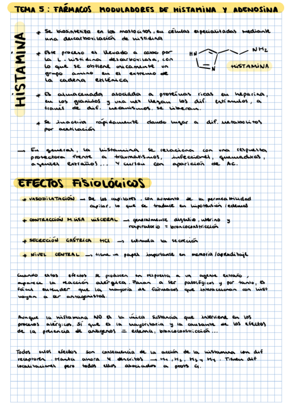 Miniatura del documento T5-APUNTES-PROPIOS.pdf