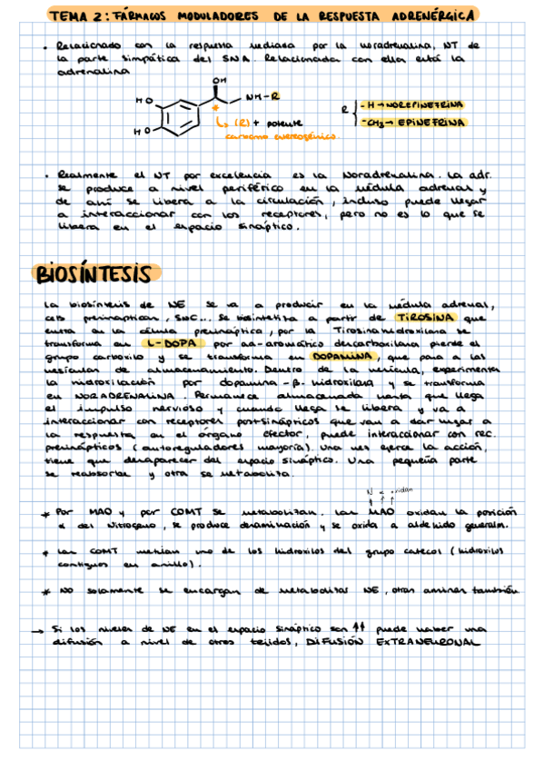 Miniatura del documento T2-APUNTES-PROPIOS.pdf