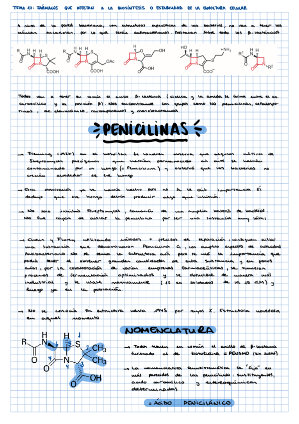 Miniatura del documento TEMA-17-APUNTES-PROPIOS.pdf