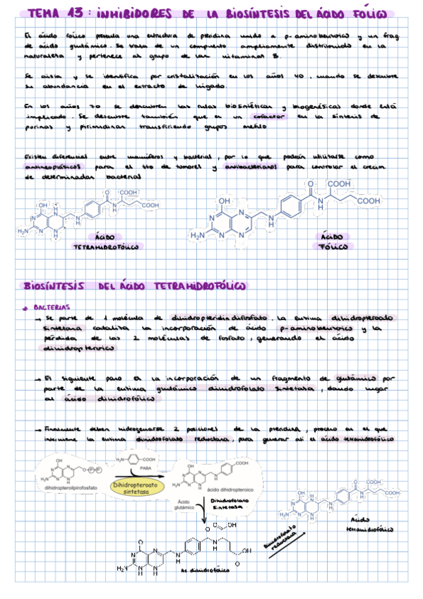 Miniatura del documento TEMA-13-APUNTES-PROPIOS.pdf