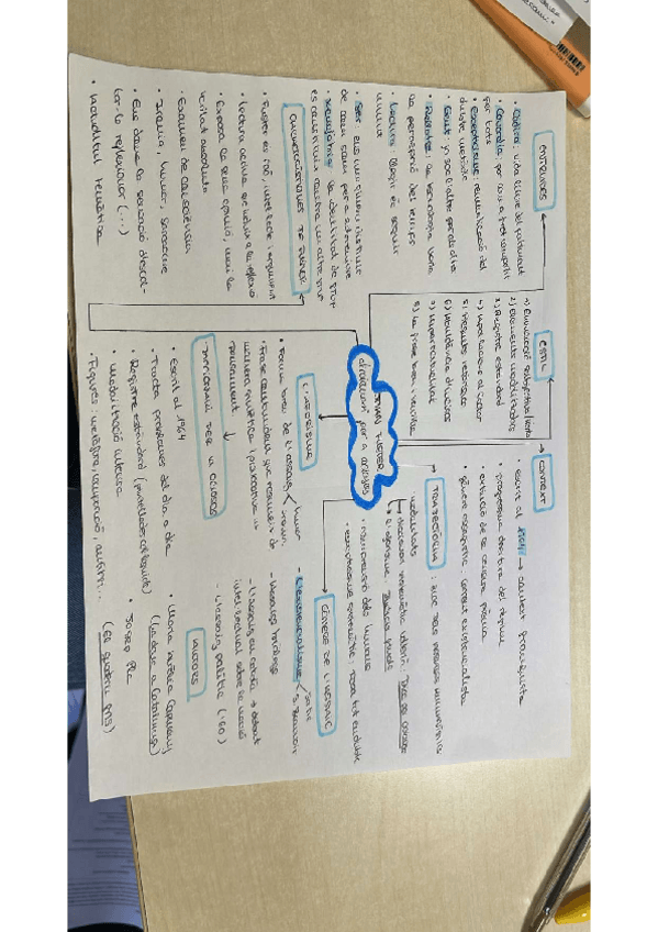 Miniatura del documento Fusters.pdf