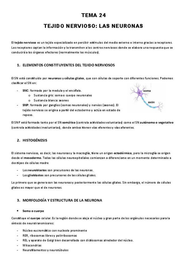 Miniatura del documento TEMA-24-TEJIDO-NERVIOSO-NEURONAS.pdf