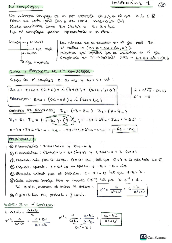 Miniatura del documento APUNTES-N-COMPLEJOS-2425.pdf