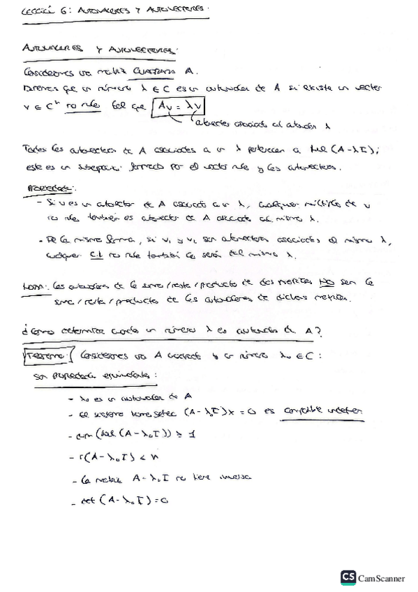 Miniatura del documento APUNTES-L.6-AUTOVALORES-Y-AUTOVECTORES.pdf