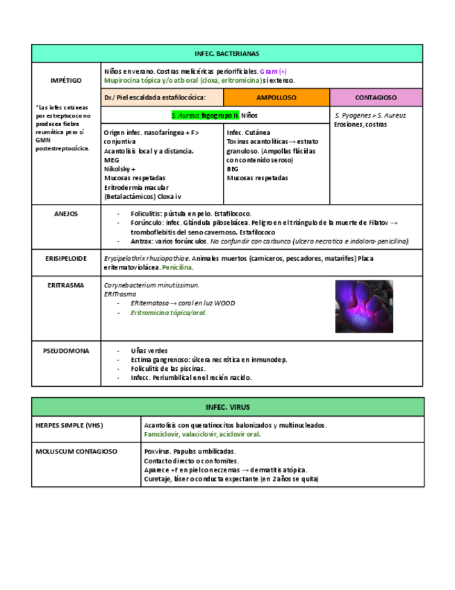 Miniatura del documento INFECCIONES-BACTERIANAS-ZONOSIS-Y-PARASITOSIS.pdf
