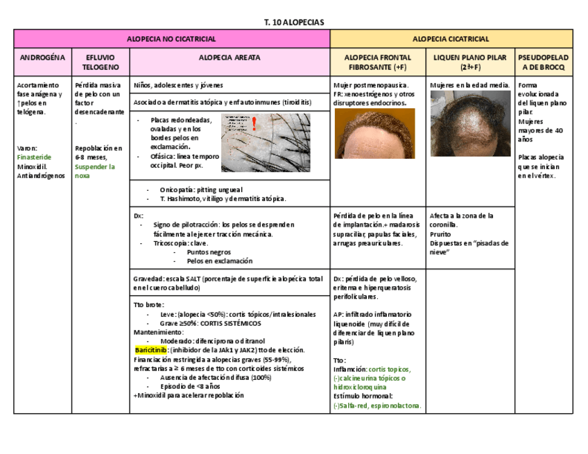 Miniatura del documento ALOPECIAS.pdf