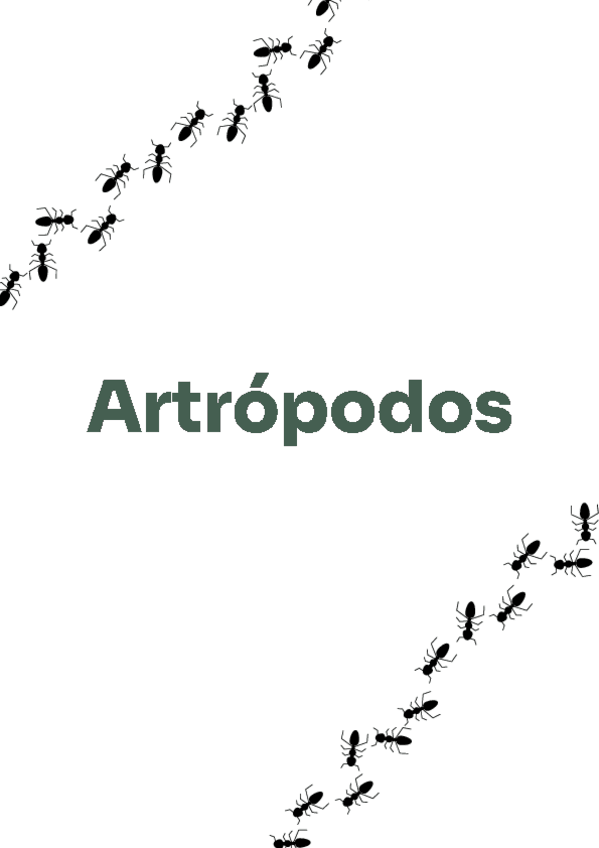 Miniatura del documento Artrópodos (completos).pdf
