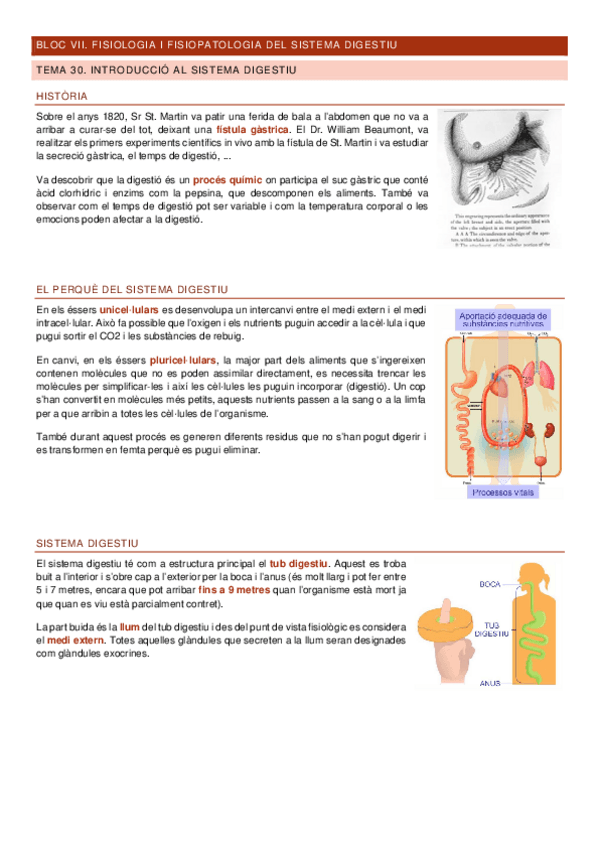Miniatura del documento Apuntes-Bloc-VII-primera-part-FFPII.pdf