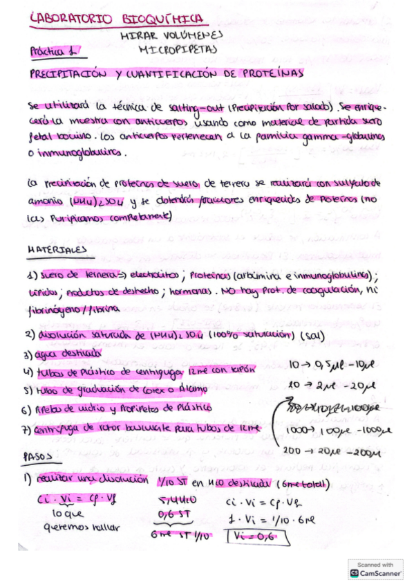 Miniatura del documento Practicas-laboratorio-Bioquimica.pdf