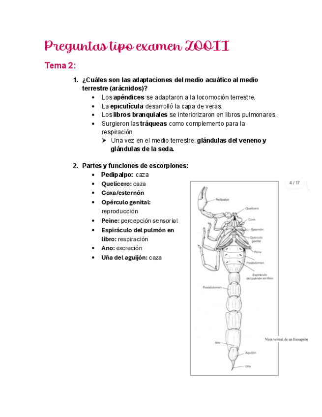 Miniatura del documento Preguntas-tipo-examen-ZOOII.pdf