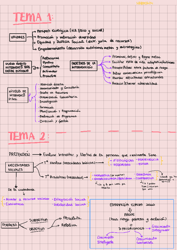 Miniatura del documento MAPA-MENTAL.pdf