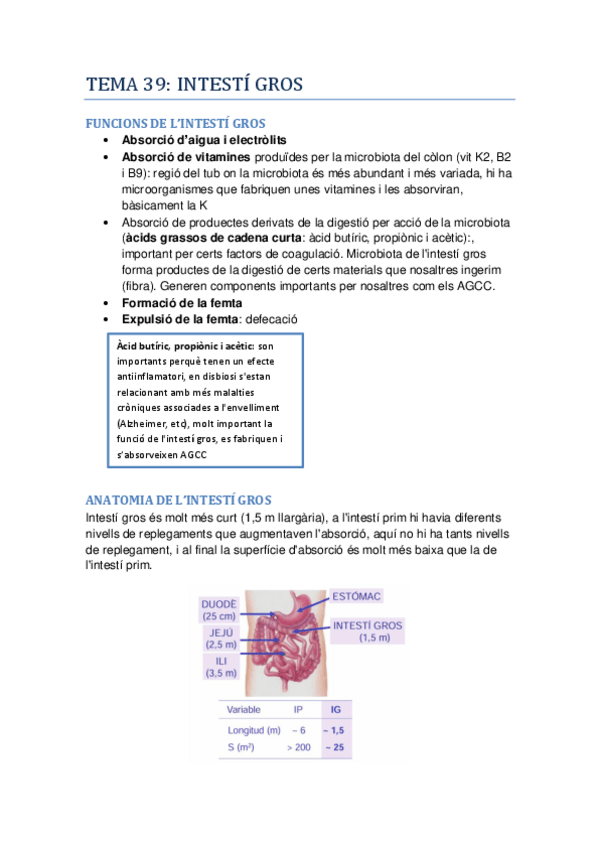 Miniatura del documento Fisiologia-II-Tema-39.pdf