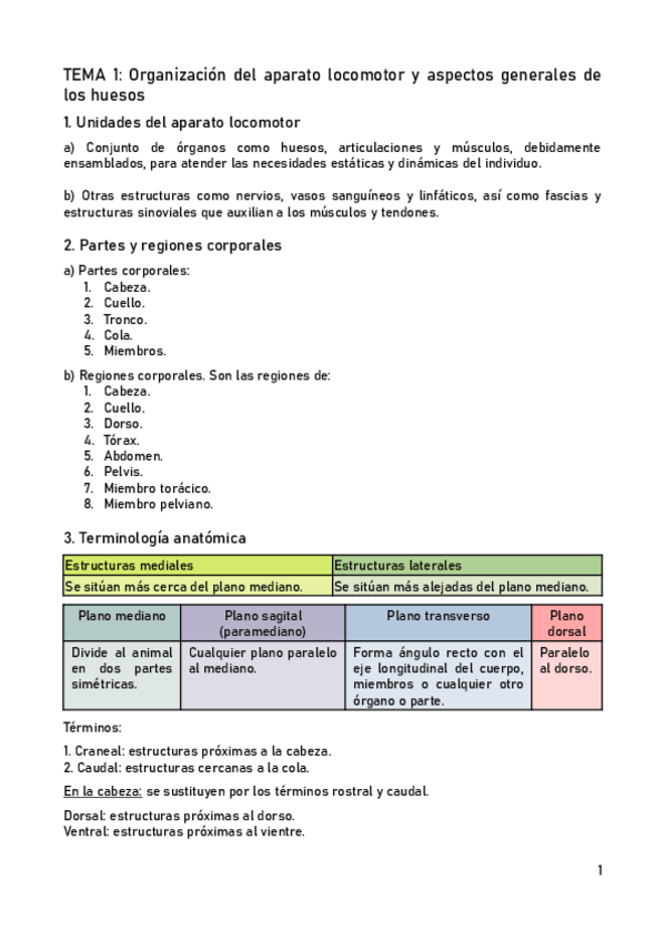 Miniatura del documento APUNTES-ANATOMIA.pdf