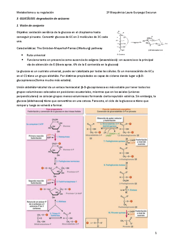 Miniatura del documento 3-Glucolisis.pdf