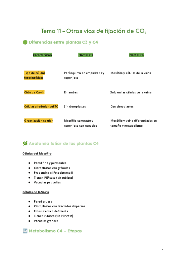 Miniatura del documento Tema-11-Noel.pdf