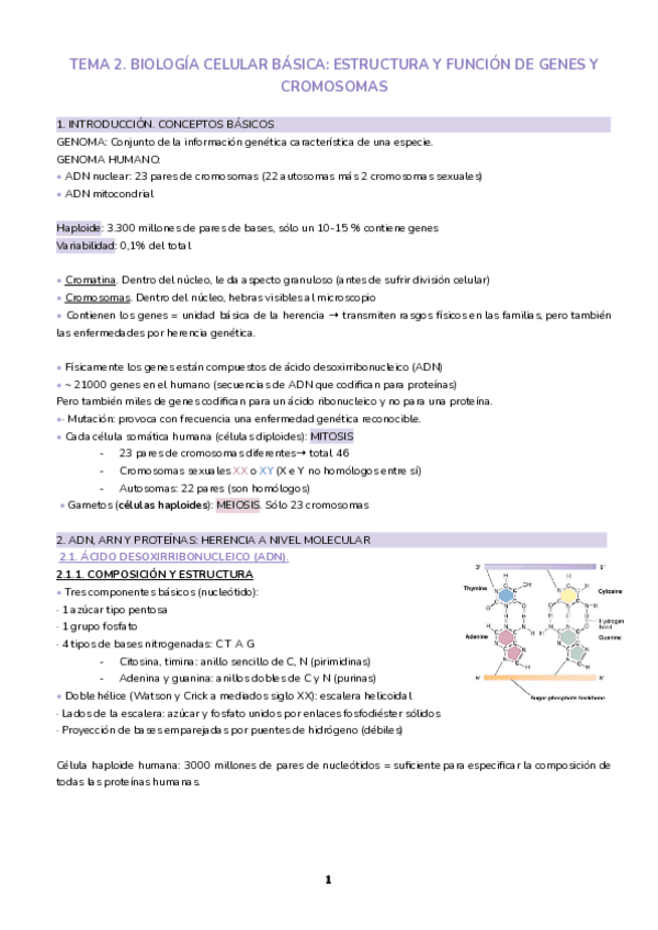 Miniatura del documento Tema-2.-Biologia-celular-basica.pdf