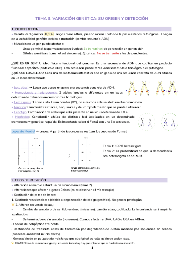 Miniatura del documento Tema-3.-Variacion-genetica.-Su-origen-y-deteccion.pdf