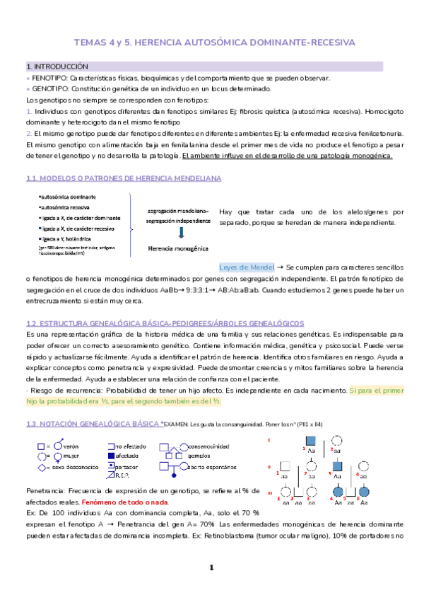 Miniatura del documento Temas-4-y-5.-Herencia-autosomica-dominante-recesiva.pdf