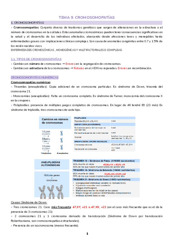 Miniatura del documento Tema-9.-Cromosomopatias.pdf