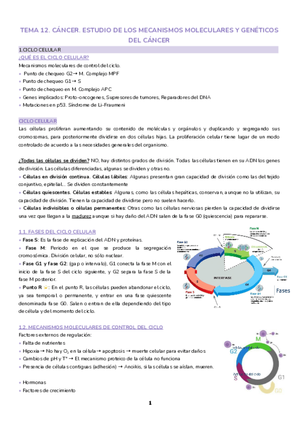 Miniatura del documento Tema-12.-Ciclo-celular.pdf