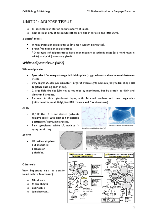 Miniatura del documento Unit-21-Adipose-tissue.pdf