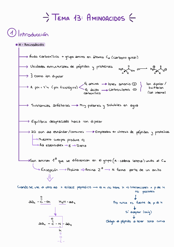 Miniatura del documento Tema-13 y 15 - Aminoácidos.pdf