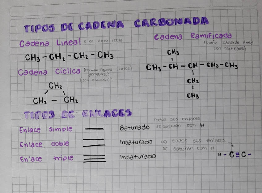 Miniatura del documento cadena2.jpg