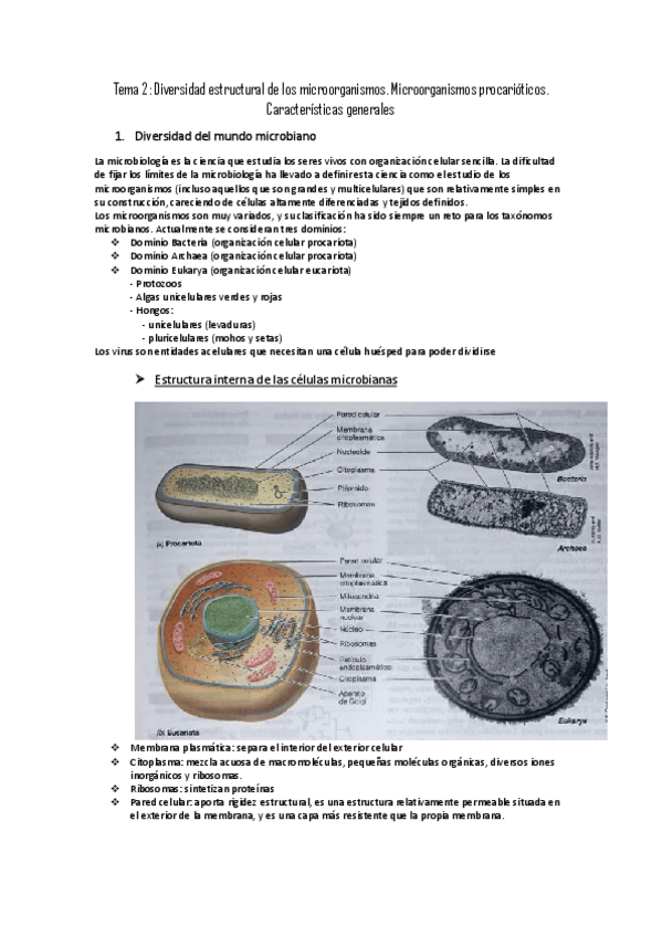 Miniatura del documento TEMA-2-MICRO-Diversidad-estructural-microorganismo.pdf